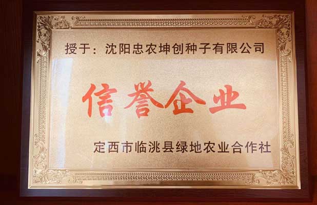 榮譽資質(zhì)三